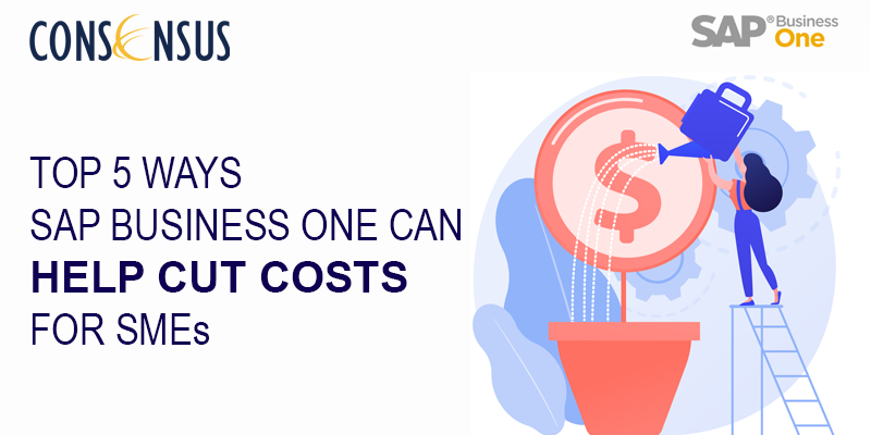 Top 5 Ways SAP B1 Can Help Cut Costs for SMEs